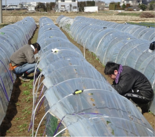 トンネル設置・回収の写真