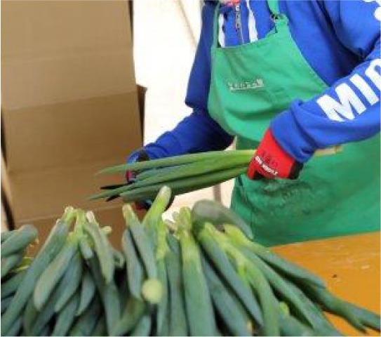 トリミングの写真